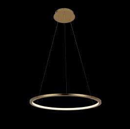 Подвесной светильник Loft IT Ring 10014M