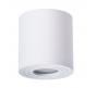 Накладной светильник Arte Lamp Galopin   A1460PL-1WH
